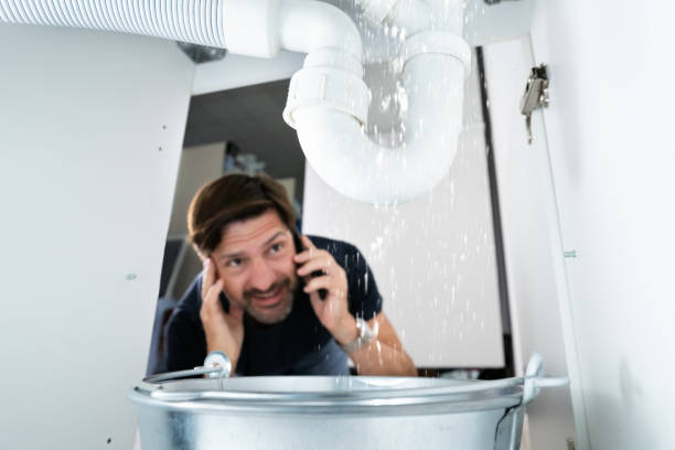 Best Plumbing Repair Near Me  in Geneva, IL