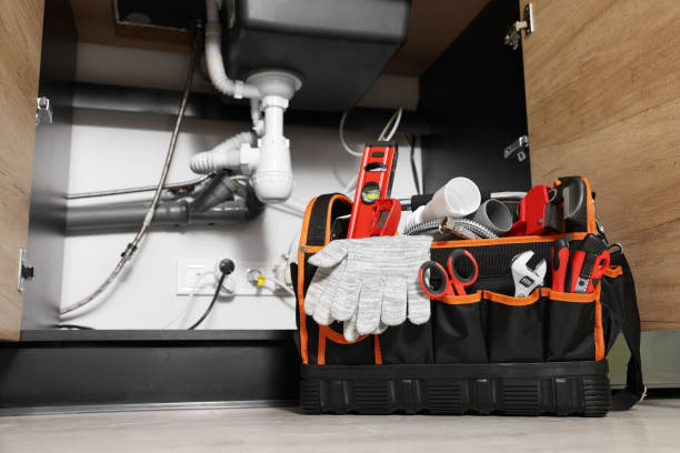 Best Plumbing Services Near Me  in Geneva, IL