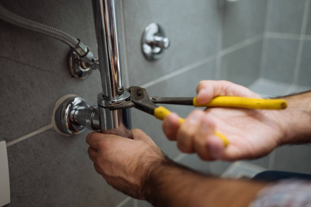 Best Residential Plumbing Services  in Geneva, IL