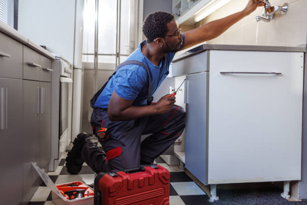 Best Commercial Plumbing Services  in Geneva, IL